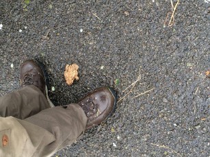 Sint-Martinus den XIIde - Kamp Bourseigne-Neuve WK